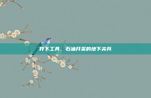 井下工具,石油开采的地下尖兵