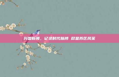 兴国新闻，记录时代脉搏 尽显苏区风采