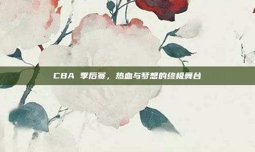 CBA 季后赛,热血与梦想的终极舞台