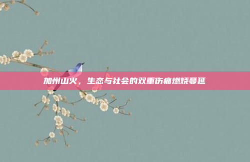 加州山火，生态与社会的双重伤痛燃烧蔓延