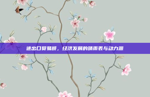 进出口贸易额，经济发展的晴雨表与动力源