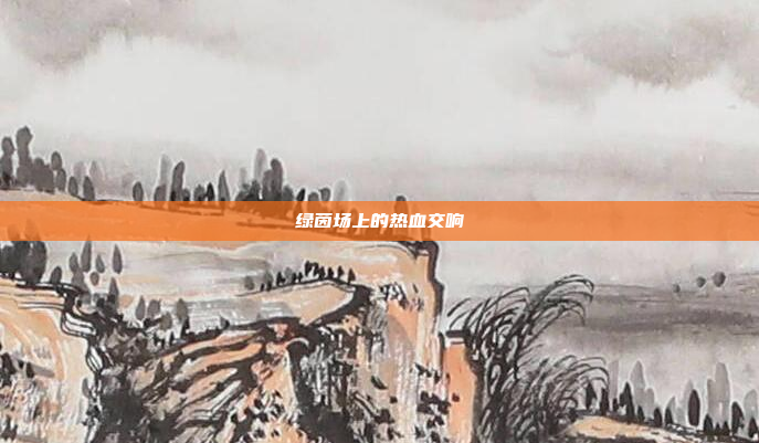 绿茵场上的热血交响