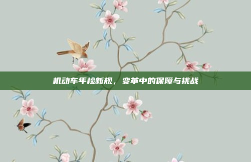 机动车年检新规，变革中的保障与挑战