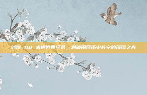 刘翔 110 米栏世界纪录，划破田径历史长空的璀璨之光