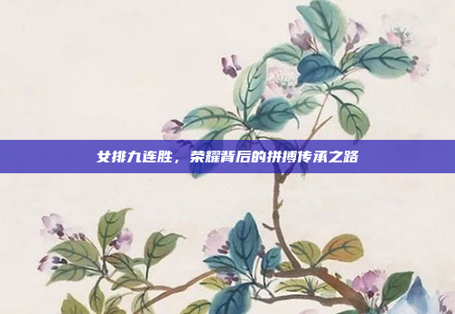女排九连胜，荣耀背后的拼搏传承之路