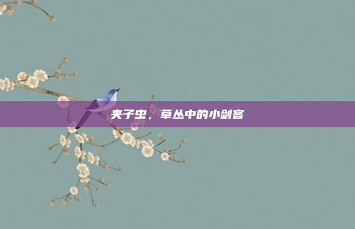 夹子虫，草丛中的小剑客