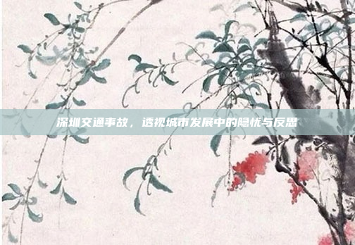 深圳交通事故，透视城市发展中的隐忧与反思