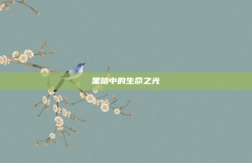 黑暗中的生命之光