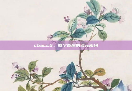 cbacc5，数字背后的多元密码