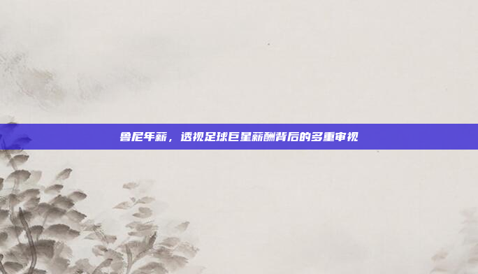 鲁尼年薪，透视足球巨星薪酬背后的多重审视