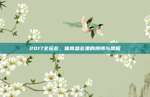 2017全运会，体育盛会里的拼搏与荣耀