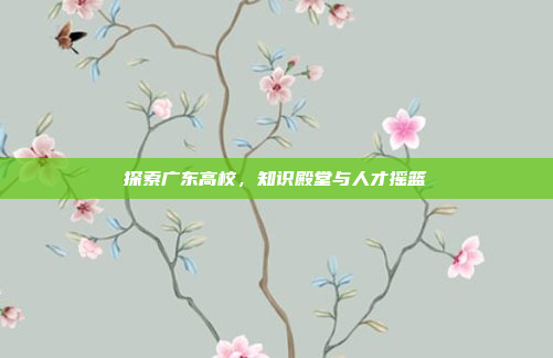 探索广东高校，知识殿堂与人才摇篮