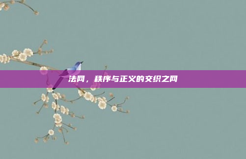 法网，秩序与正义的交织之网