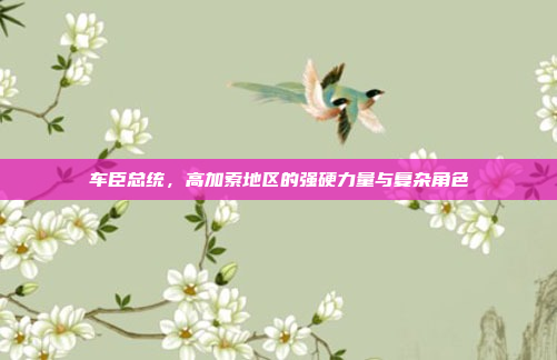 车臣总统，高加索地区的强硬力量与复杂角色