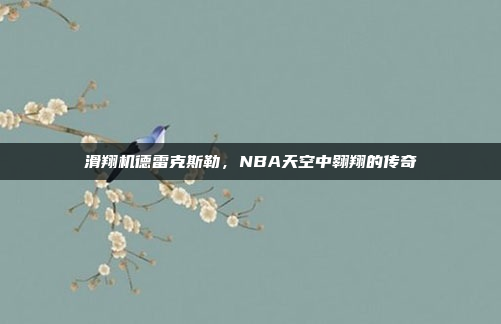滑翔机德雷克斯勒,NBA天空中翱翔的传奇
