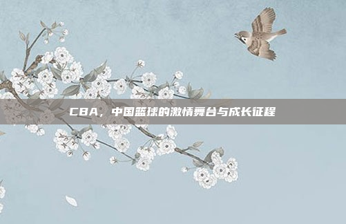 CBA，中国篮球的激情舞台与成长征程