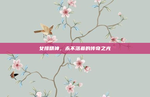 女排精神，永不落幕的传奇之光