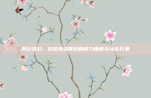 风云变幻，总统竞选背后的权力角逐与社会万象
