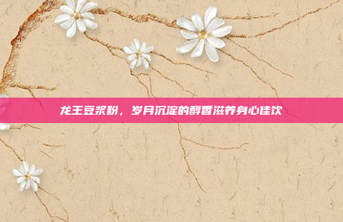 龙王豆浆粉，岁月沉淀的醇香滋养身心佳饮