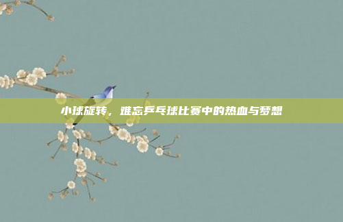 小球旋转，难忘乒乓球比赛中的热血与梦想