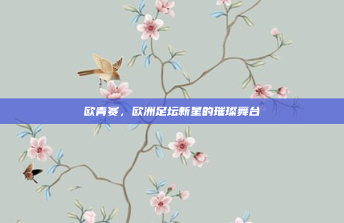 欧青赛,欧洲足坛新星的璀璨舞台