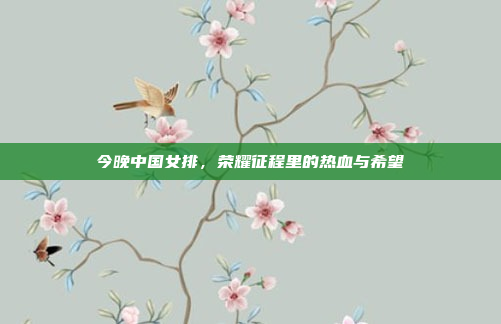 今晚中国女排，荣耀征程里的热血与希望