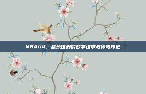 NBA114，篮球世界的数字纽带与传奇印记