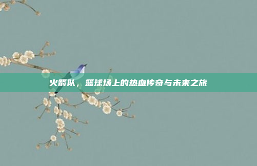 火箭队，篮球场上的热血传奇与未来之旅