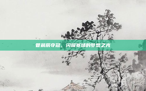 管晨辰夺冠，闪耀赛场的梦想之光