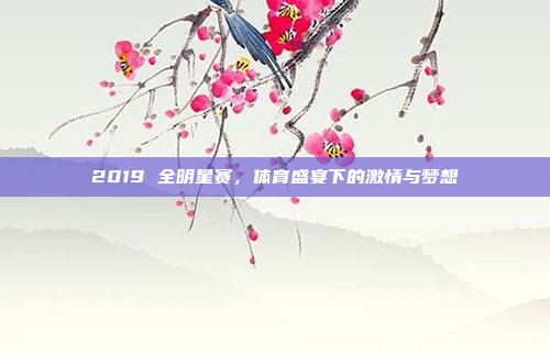 2019 全明星赛，体育盛宴下的激情与梦想