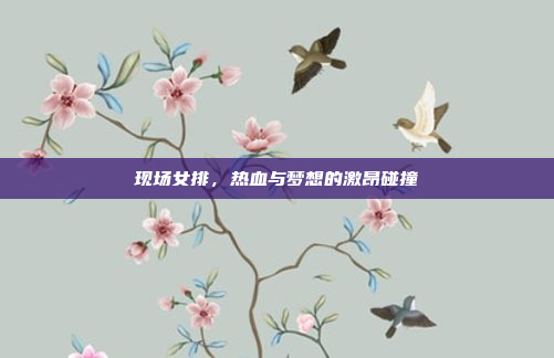 现场女排，热血与梦想的激昂碰撞
