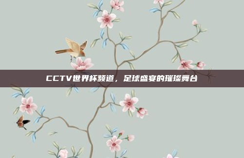 CCTV世界杯频道，足球盛宴的璀璨舞台