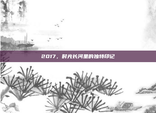 2017，时光长河里的独特印记