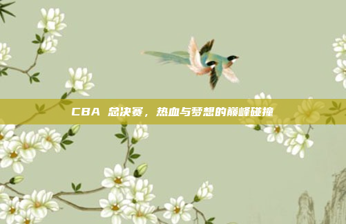 CBA 总决赛，热血与梦想的巅峰碰撞