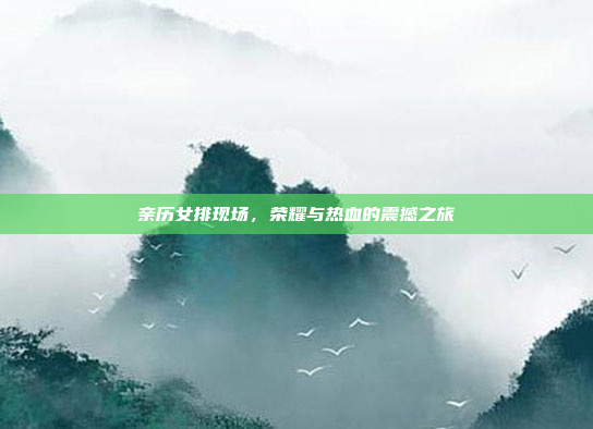 亲历女排现场，荣耀与热血的震撼之旅