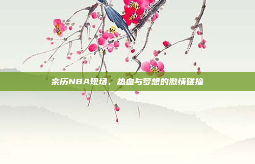 亲历NBA现场，热血与梦想的激情碰撞