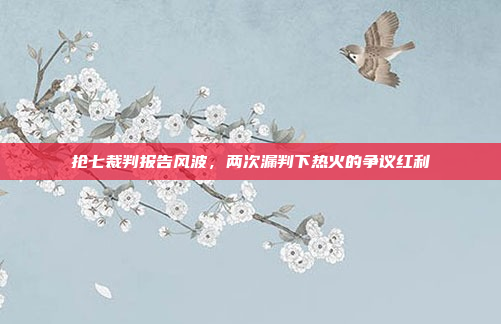 抢七裁判报告风波，两次漏判下热火的争议红利