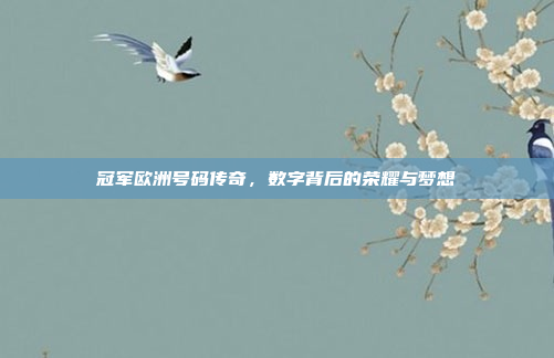冠军欧洲号码传奇，数字背后的荣耀与梦想