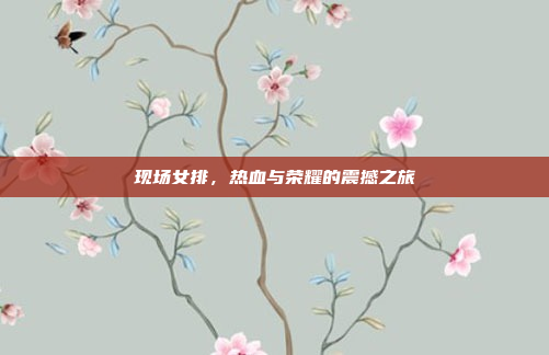 现场女排，热血与荣耀的震撼之旅