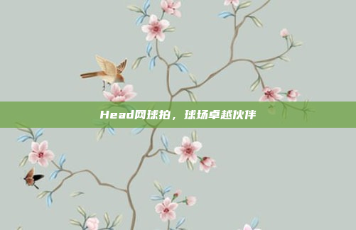 Head网球拍，球场卓越伙伴