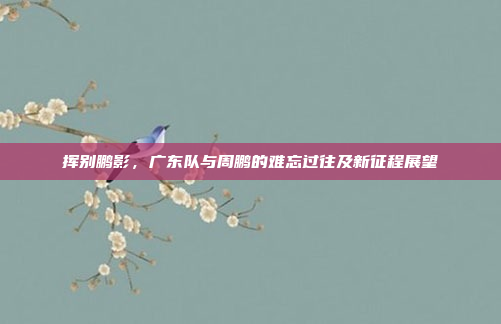 挥别鹏影，广东队与周鹏的难忘过往及新征程展望