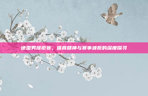 德国男排拒赛，体育精神与赛事波折的深度探寻