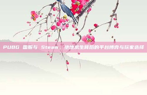 PUBG 国服与 Steam,绝地求生背后的平台博弈与玩家选择