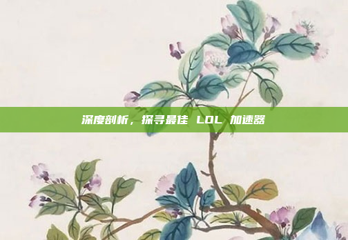 深度剖析，探寻最佳 LOL 加速器