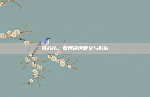 换苏伟，背后深远意义与影响