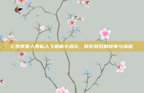 C罗携家人乘私人飞机离卡塔尔，背影背后的故事与情感