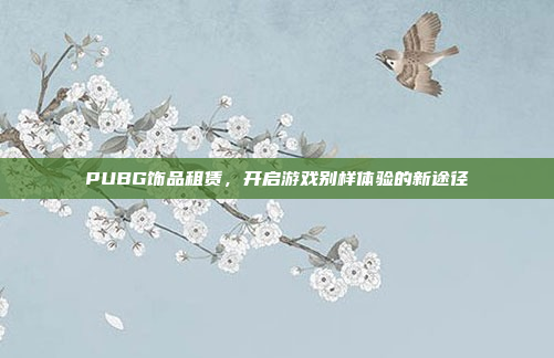 PUBG饰品租赁，开启游戏别样体验的新途径