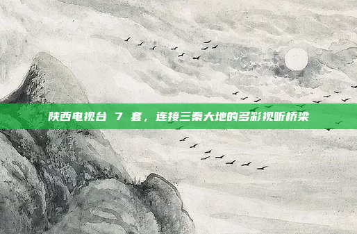 陕西电视台 7 套，连接三秦大地的多彩视听桥梁