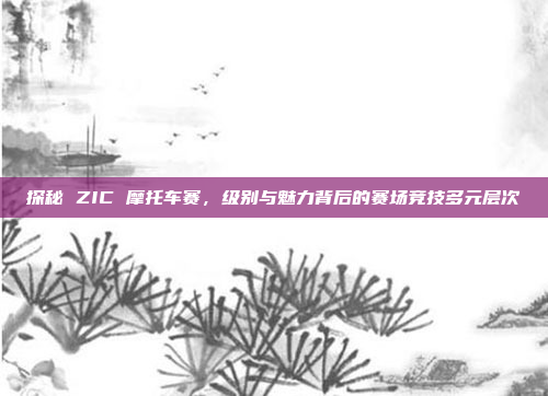 探秘 ZIC 摩托车赛，级别与魅力背后的赛场竞技多元层次