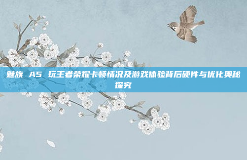 魅族 A5 玩王者荣耀卡顿情况及游戏体验背后硬件与优化奥秘探究